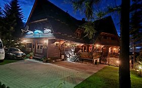 Bukovina Concept Mountain